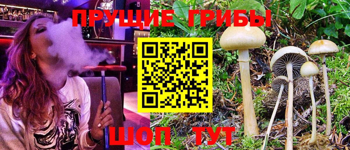 Псилоцибиновые грибы ЛСД Прохладный