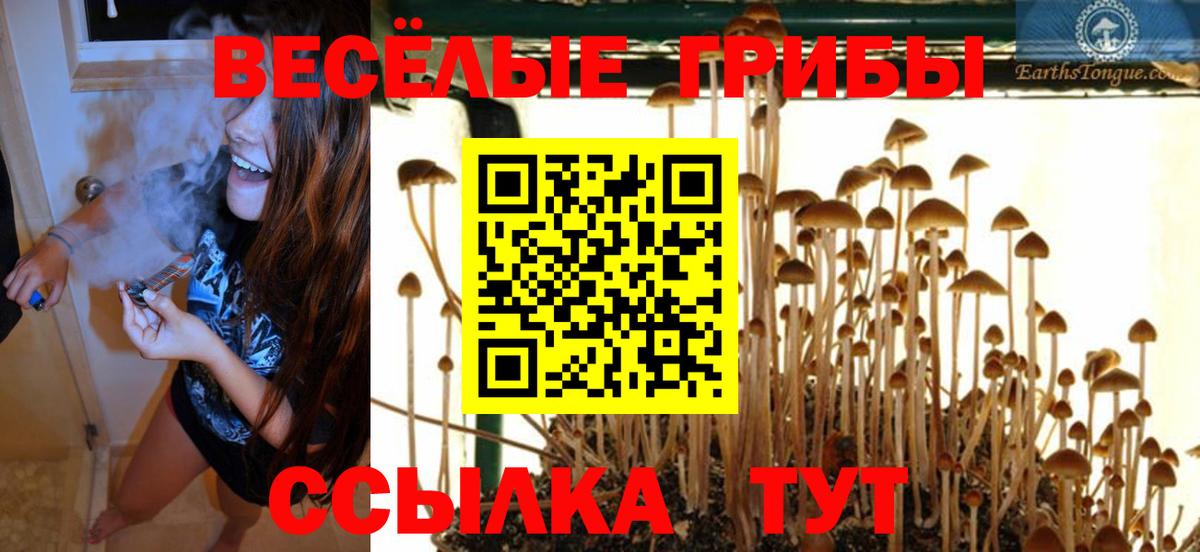 Прохладный  Галлюциногенные грибы Magic Shrooms  Вход с VPN 
